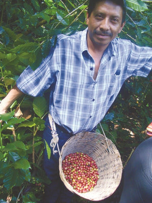 Partnership with Fogbuster Coffee Works Transforms Coffee Farming Communities Through Sustainable Agriculture and Wildlife Conservation - FOGBUSTER® Coffee
