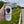 Load image into Gallery viewer, A hand holds a can of Fogbuster® Coffee Works Fogbuster Black near a roadside sign reading "Entering Greenfield," with greenery and power lines in the background.