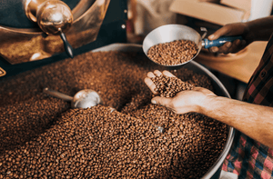 Drum vs Air Roasting: The Basics - FOGBUSTER® Coffee