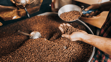 Drum vs Air Roasting: The Basics - FOGBUSTER® Coffee