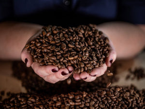 Fogbuster Coffee Works Celebrates Three Decades of Sustainable Coffee Excellence and Community Partnership in New England - FOGBUSTER® Coffee