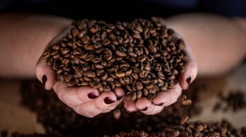 Fogbuster Coffee Works Celebrates Three Decades of Sustainable Coffee Excellence and Community Partnership in New England - FOGBUSTER® Coffee