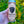 Load image into Gallery viewer, A hand holds a can of Mocha by Fogbuster® Coffee Works in front of green leaves and yellow flowers.
